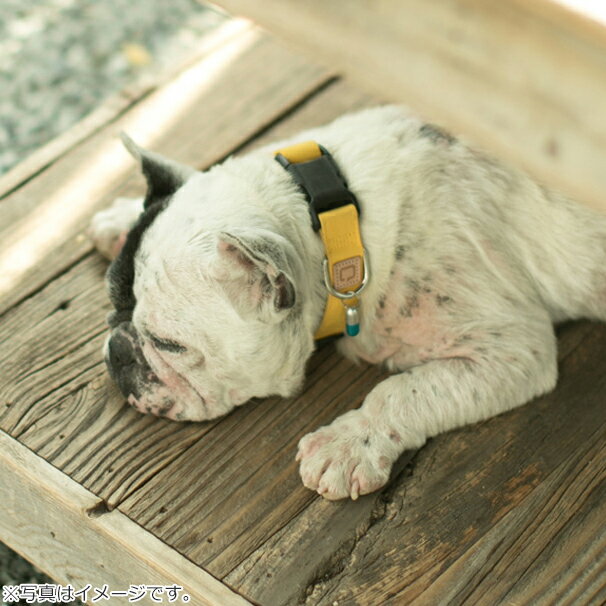 ��Ź��ݥ���Ⱥ���41�ܡ��������ꡪ��QUCHITAP�ʥ������ס� ���ץ��뷿ID���ץ��� �ԥ��»һ�