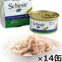 Schesir シシア キャットシリーズ ゼリータイプ シニア チキンフィレ＆アロエ 85g 14缶 猫缶 キャットフード ウェット 猫用品/ねこグッズ/ペット用品