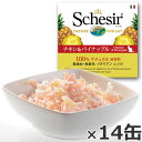 Schesir シシア キャットシリーズ フルーツタイプ チキン＆パイナップル 75g 14缶 猫缶 キャットフード ウェット 猫用品/ねこグッズ/ペット用品