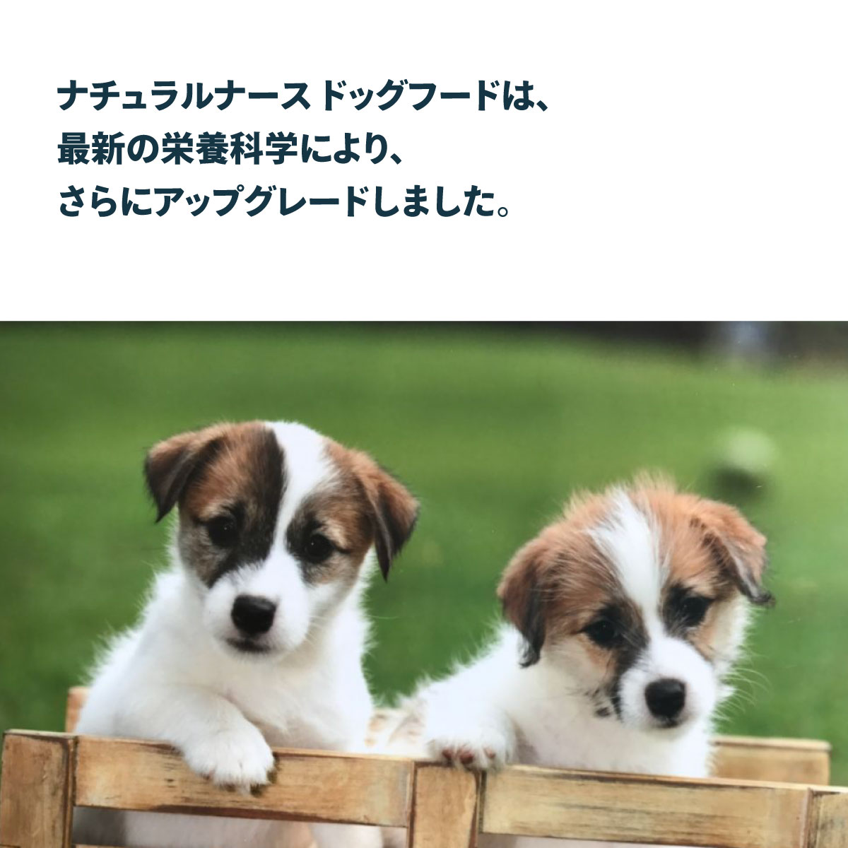 サンプル画像2