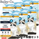 【本日限定!ポイントさらに+4倍!店内ポイント最大47倍!】ベイリーコー Bailey+Co キャットトリーツ フリーズドライ キングサーモン 無添加 素材丸ご...