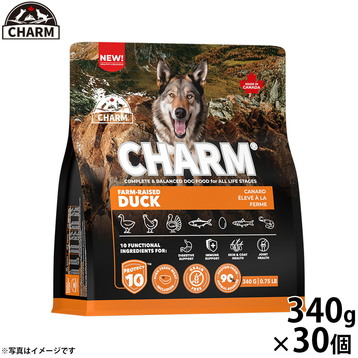 Rakuten - 【店内ポイント最大43倍！本日限定！】チャーム CHARM ファームレイズドダック 鴨肉 ドッグフード グレインフリー 340g×30個 無添加 穀物フリー 穀物不使用 小麦不使用 グルテンフリー 犬 ナチュラル