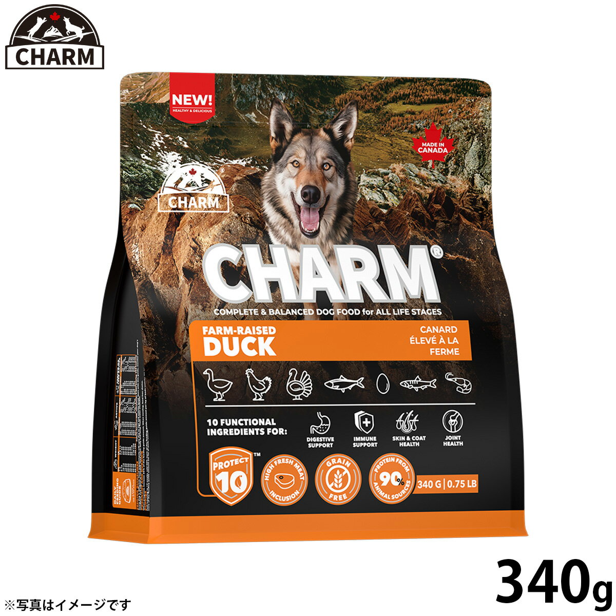 Rakuten - 【店内ポイント最大43倍！本日限定！】チャーム CHARM ファームレイズドダック 鴨肉 ドッグフード グレインフリー 340g 無添加 穀物フリー 穀物不使用 小麦不使用 グルテンフリー 犬 ナチュラル