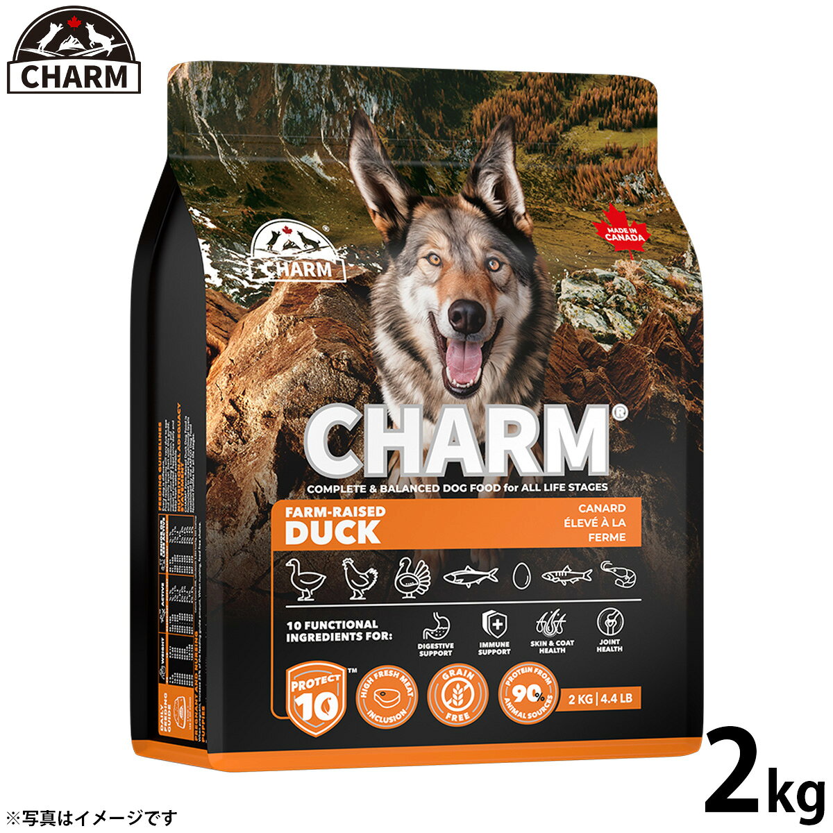 【9/15限定！抽選で最大1万ポイントバック】チャーム CHARM ファームレイズドダック 鴨肉 ドッグフード グレインフリー 2kg 無添加 穀物フリー 穀物不使用 小麦不使用 グルテンフリー 犬 ナチュラル