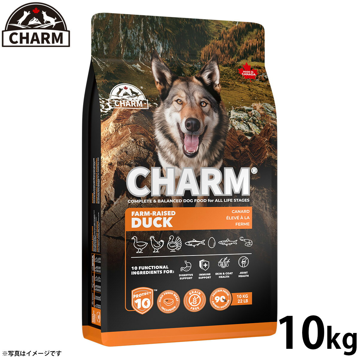 Rakuten - 【店内ポイント最大43倍！本日限定！】チャーム CHARM ファームレイズドダック 鴨肉 ドッグフード グレインフリー 10kg 無添加 穀物フリー 穀物不使用 小麦不使用 グルテンフリー 犬 ナチュラル