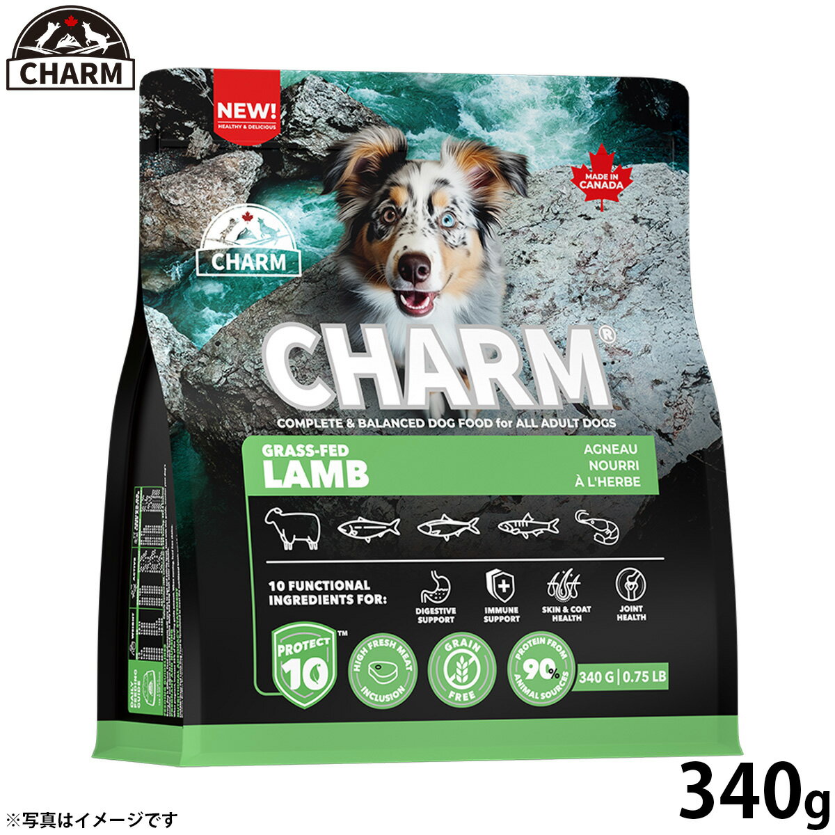 Rakuten - 【店内ポイント最大43倍！本日限定！】チャーム CHARM グラスフェッドラム ラム肉 ドッグフード グレインフリー 340g 無添加 穀物フリー 穀物不使用 小麦不使用 グルテンフリー 犬 ナチュラル