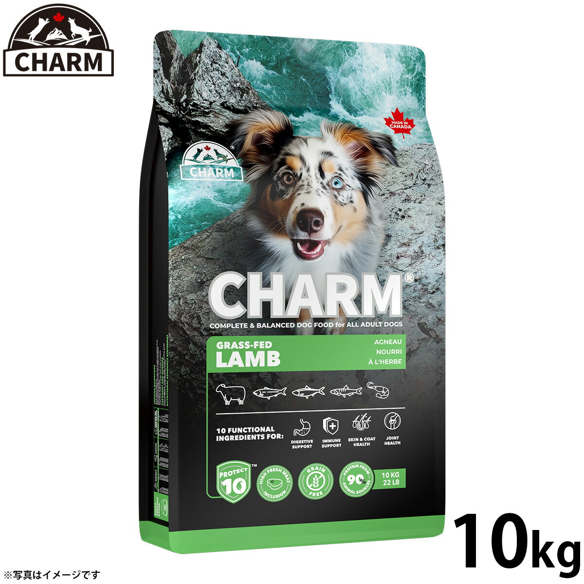 Rakuten - 【店内ポイント最大43倍！本日限定！】チャーム CHARM グラスフェッドラム ラム肉 ドッグフード グレインフリー 10kg 無添加 穀物フリー 穀物不使用 小麦不使用 グルテンフリー 犬 ナチュラル