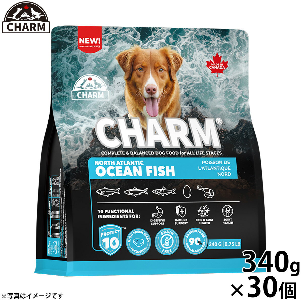 乐天商城 - 【エントリーでポイント+4倍！楽天モバイル会員限定！】チャーム CHARM ノース アトランティック オーシャン フィッシュ サーモン ドッグフード グレインフリー 340g×30個 無添加 穀物フリー 穀物不使用 小麦不使用 グルテンフリー 犬 ナチュラル