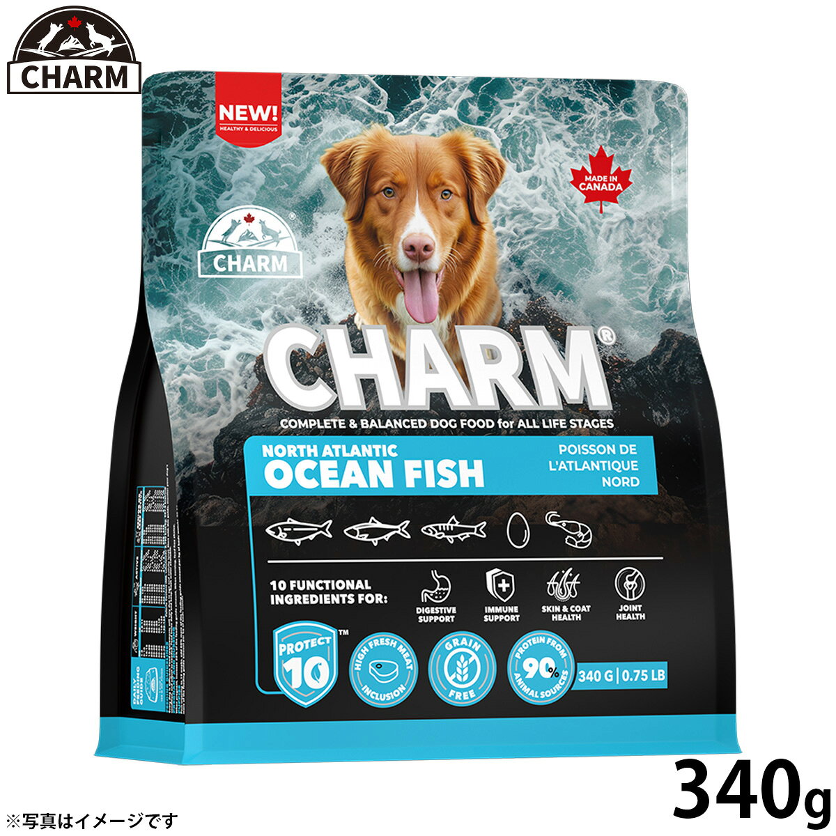チャーム ドッグフード CHARM ノース・アトランティック・オーシャン・フィッシュドッグフード 340g プレミアムフード グレインフリー 犬 ナチュラル アレルギー 小粒 無添加 肥満