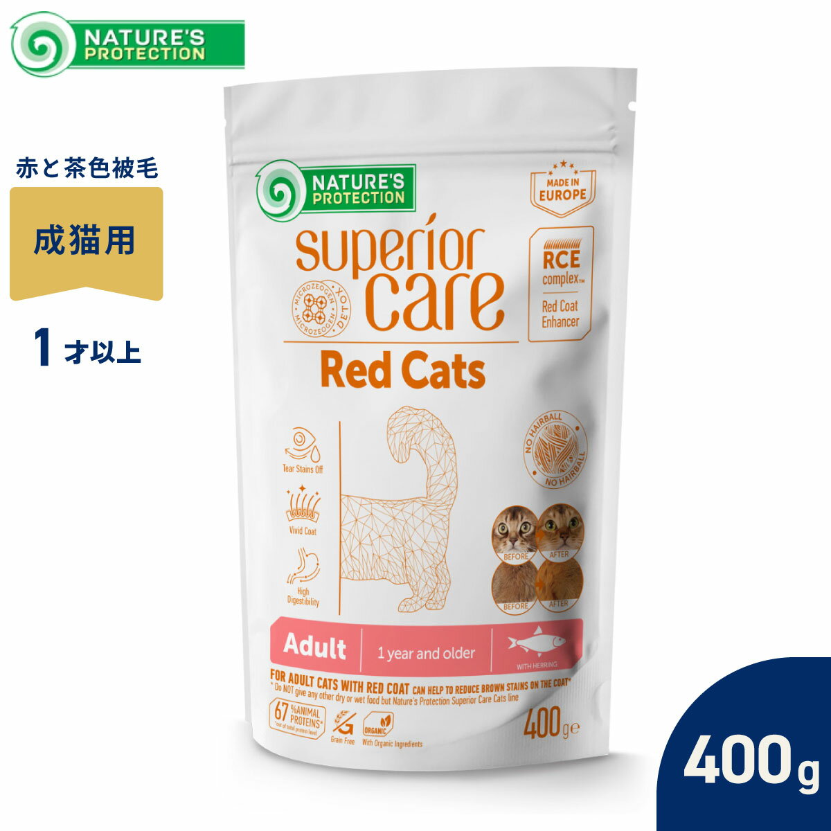 レッドキャット アダルト