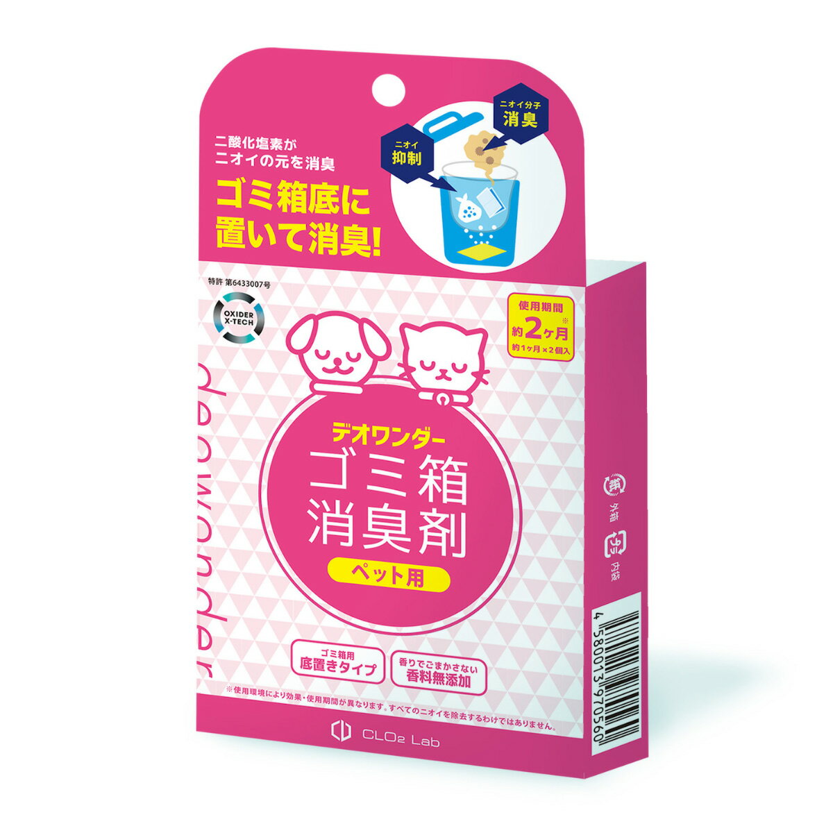 �ں���5000pt�Хå���14��10�����ۥǥ������� ����Ȣ�ý��� �ڥå��� 2������