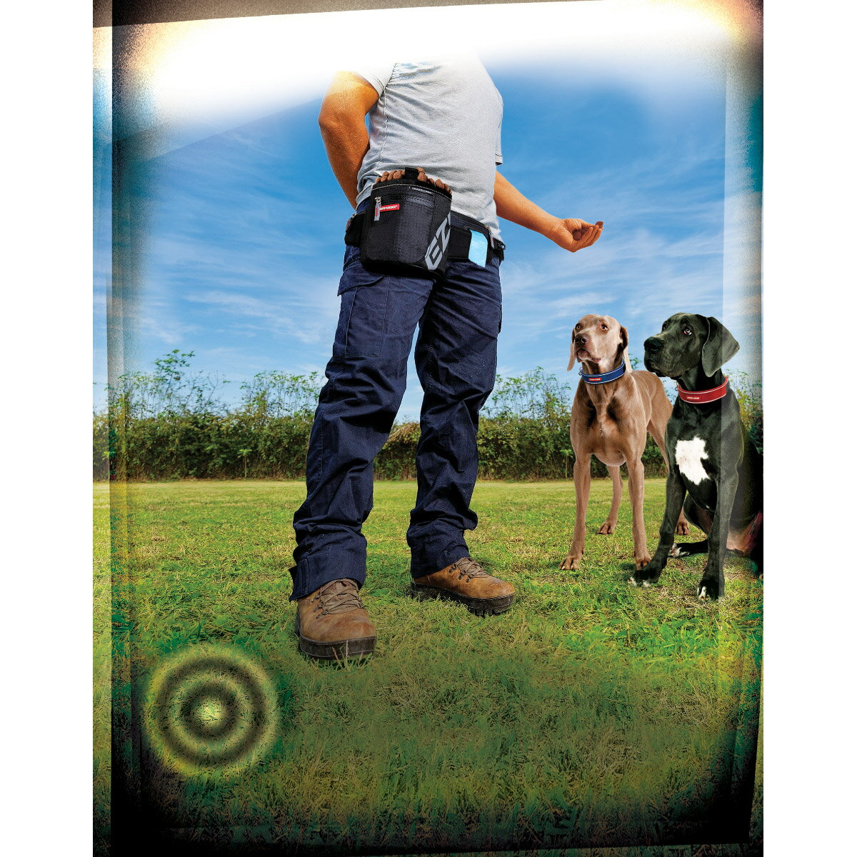 ��400��OFF�����ݥ󡪡�Ź��ݥ���Ⱥ���42�ܡ�3��1�����ۥ��������ɥå� EZYDOG ���ʥå��ѥå��ץ� �֥�å�������̵���� �ȥ꡼�ĥȡ��� ��������� ���Ĥ� �ȥ졼�˥�