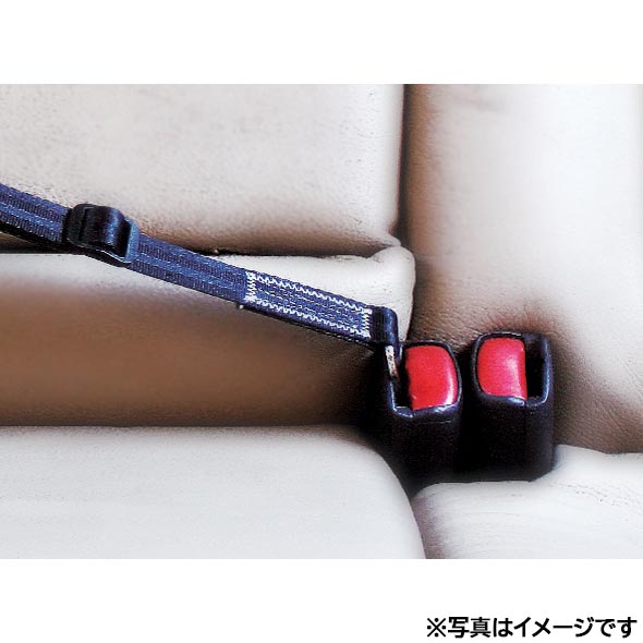 ��400��OFF�����ݥ󡪡�Ź��ݥ���Ⱥ���42�ܡ�3��1�����ۥ��������ɥå� EZYDOG ����å� ���쥤 �ɥ饤�֥��å� �����ȥ٥��