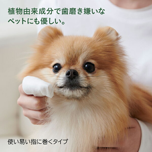 �ں���2000��OFF�����ݥ󡪡�Ź��ݥ���Ⱥ���58�ܡ��ޥ饽����ꡪ�ۥܥ�� �ܥ��˥��� �ǥ󥿥륷���� 20���� ���� ���륳����꡼ CPC�۹�