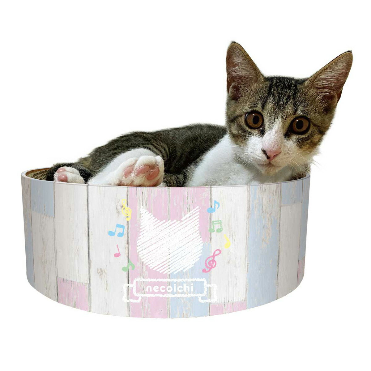 【店内ポイント最大43倍！本日限定！】猫壱 バリバリボウル 子猫用 猫 爪とぎ 爪みがき ダンボール す..