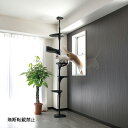 【店内ポイント最大46倍!本日限定!】【レビュー特典あり】OPPO オッポ キャットフォレスト ツー CatForest-2 ブラック 猫 キャットタワー 突っ...