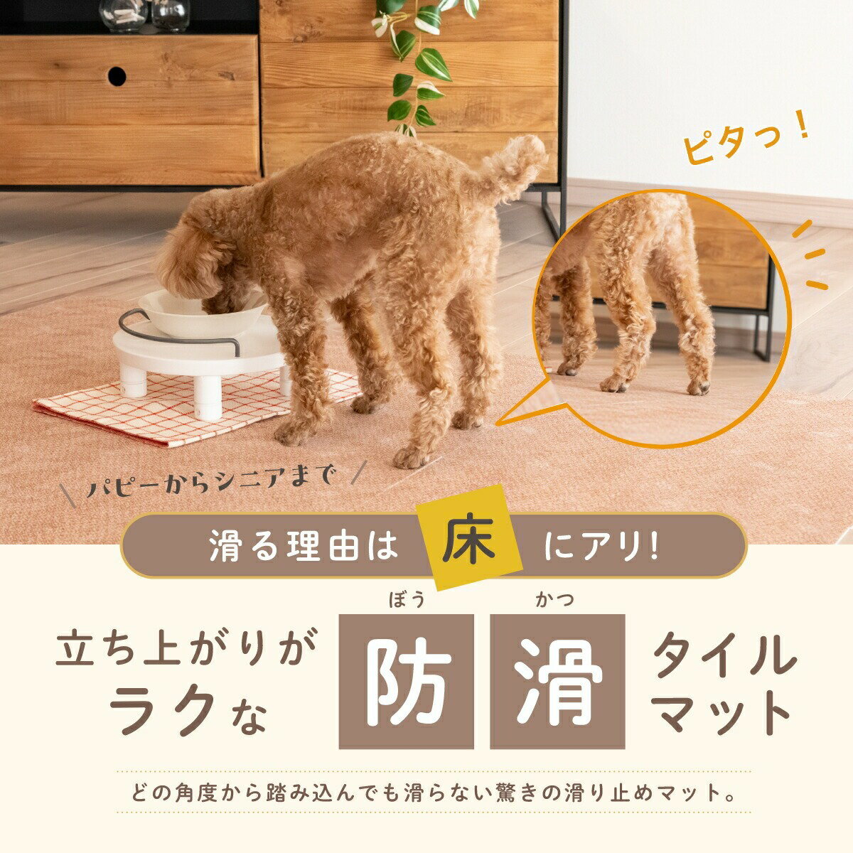 【1等最大10万ポイント当たる!31日まで!】...の紹介画像2