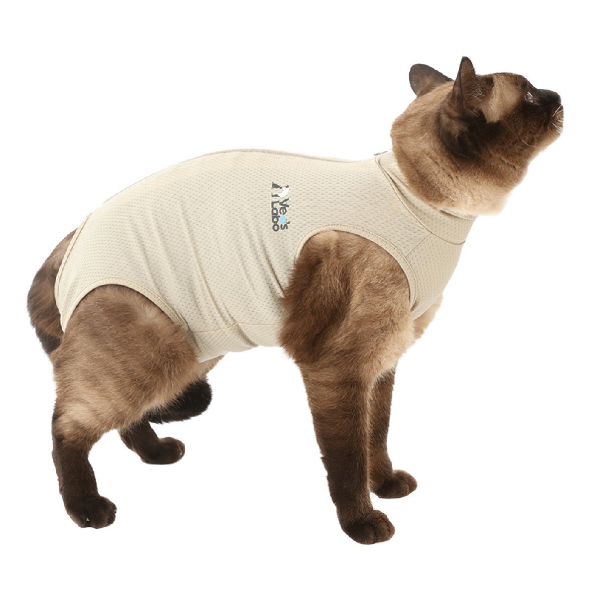 �ں���2000��OFF�����ݥ󡪡�Ź��ݥ���Ⱥ���58�ܡ��ޥ饽����ꡪ�ۥ٥åĥ�� ǭ�� �٥åĥ����� �Ѹ��� �����ݸ��� L ���졼���� ���ꥶ�٥����顼 ���� ���