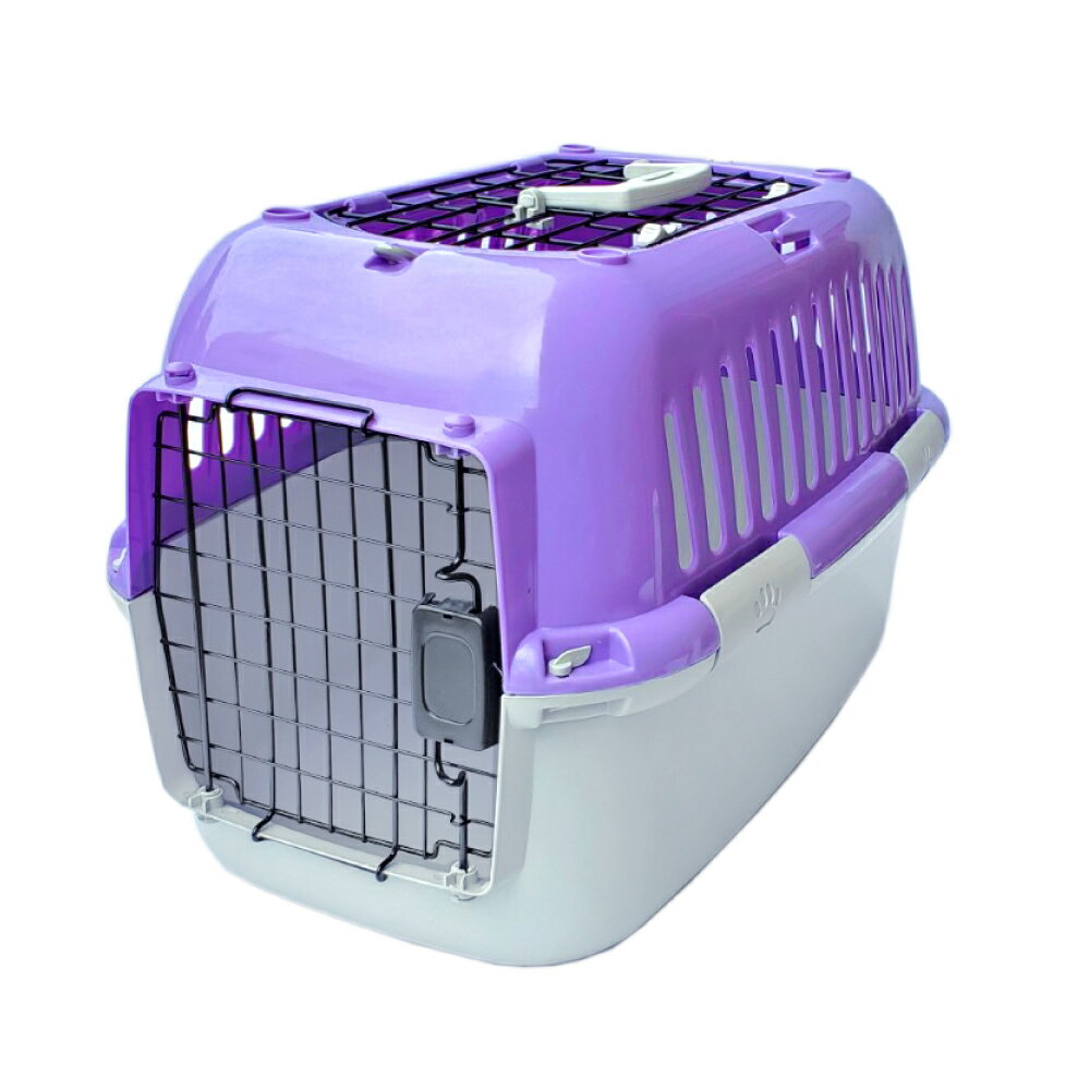 ��Ź��ݥ���Ⱥ���41�ܡ��������ꡪ�ۥե��󥿥������� �ե��󥿥�������꡼ �����ץ� M �ѡ��ץ�