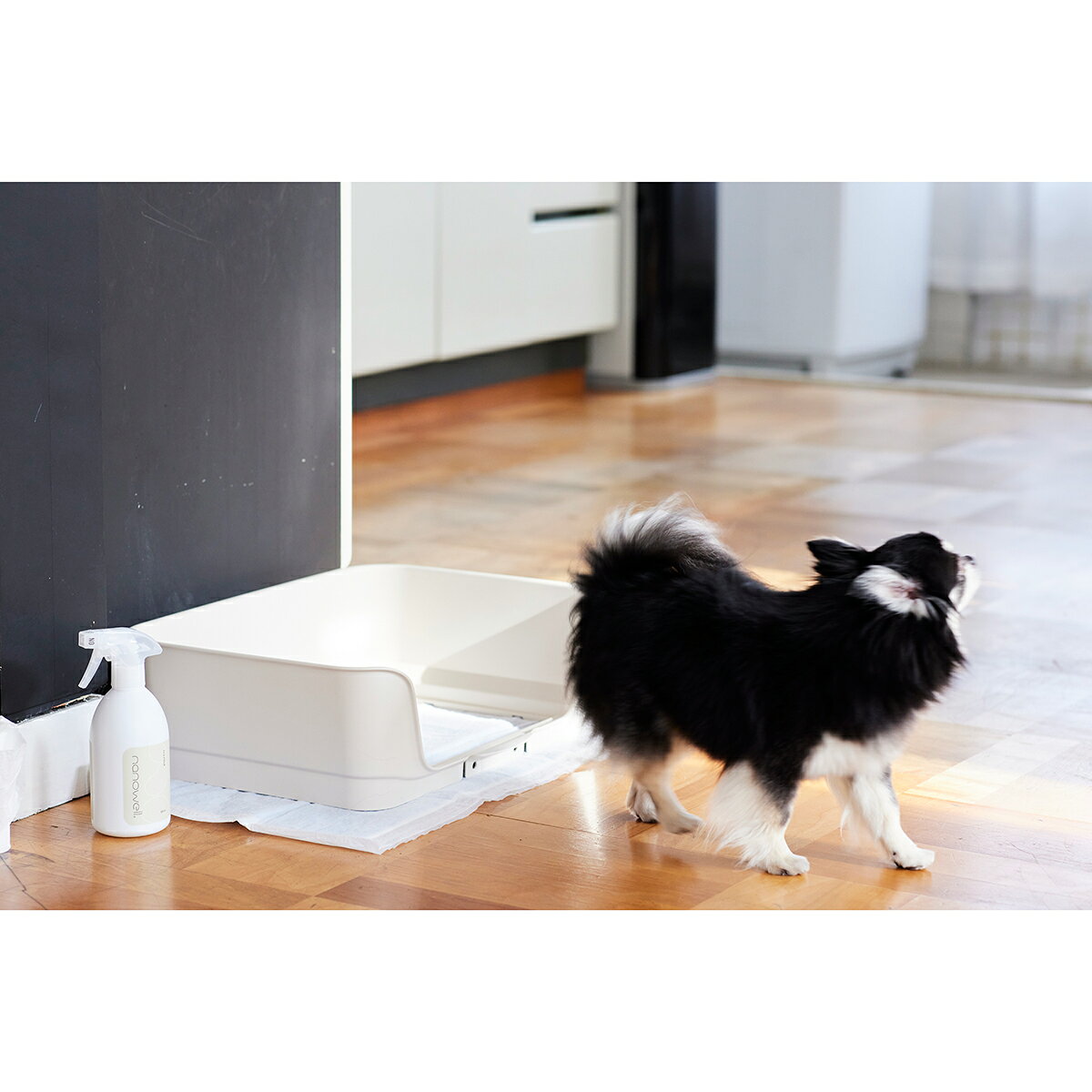 �ʥΥ����� ���꡼�� 2L������̵����