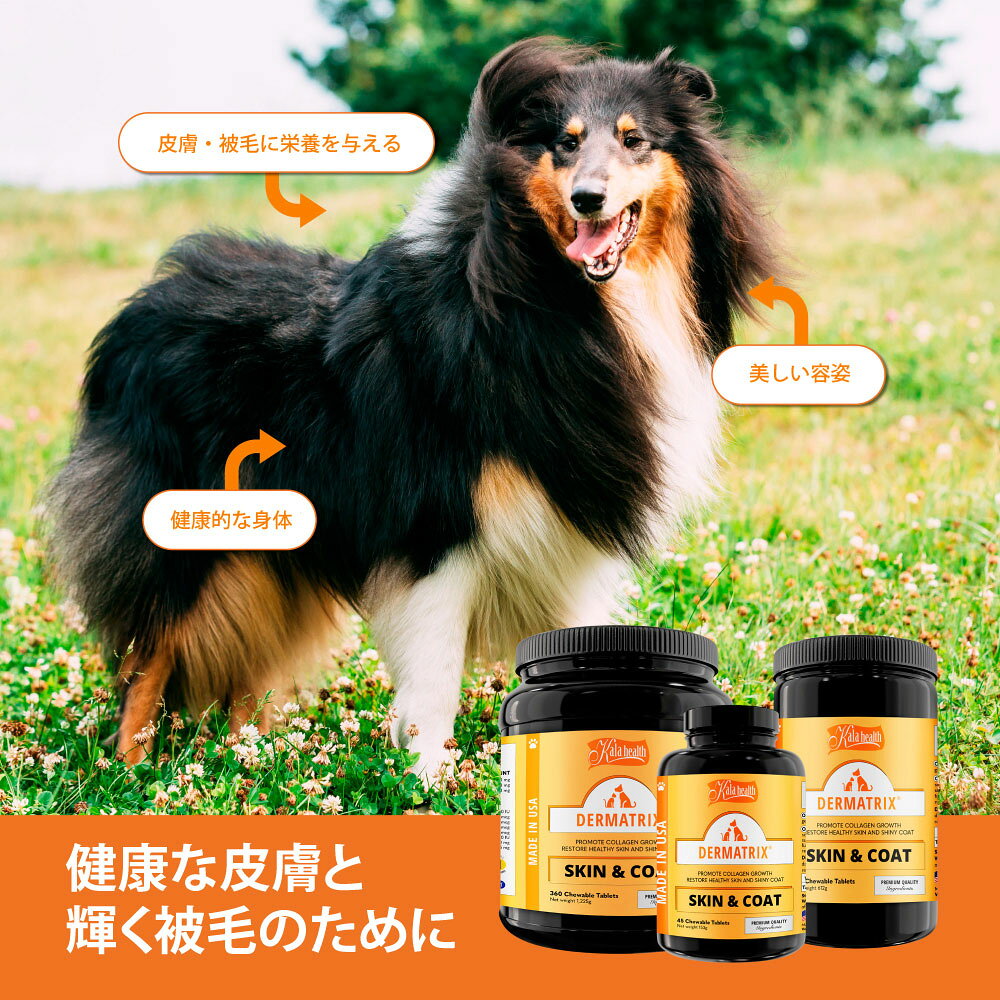 【8/5限定！2000円OFFクーポン＆抽選で最大1万ポイントバック】ファンタジーワールド カラヘルス サプリメント ダーマトリックス 45粒【送料無料】 皮膚 被毛 koji-10044235 コジコジ サンプル画像3