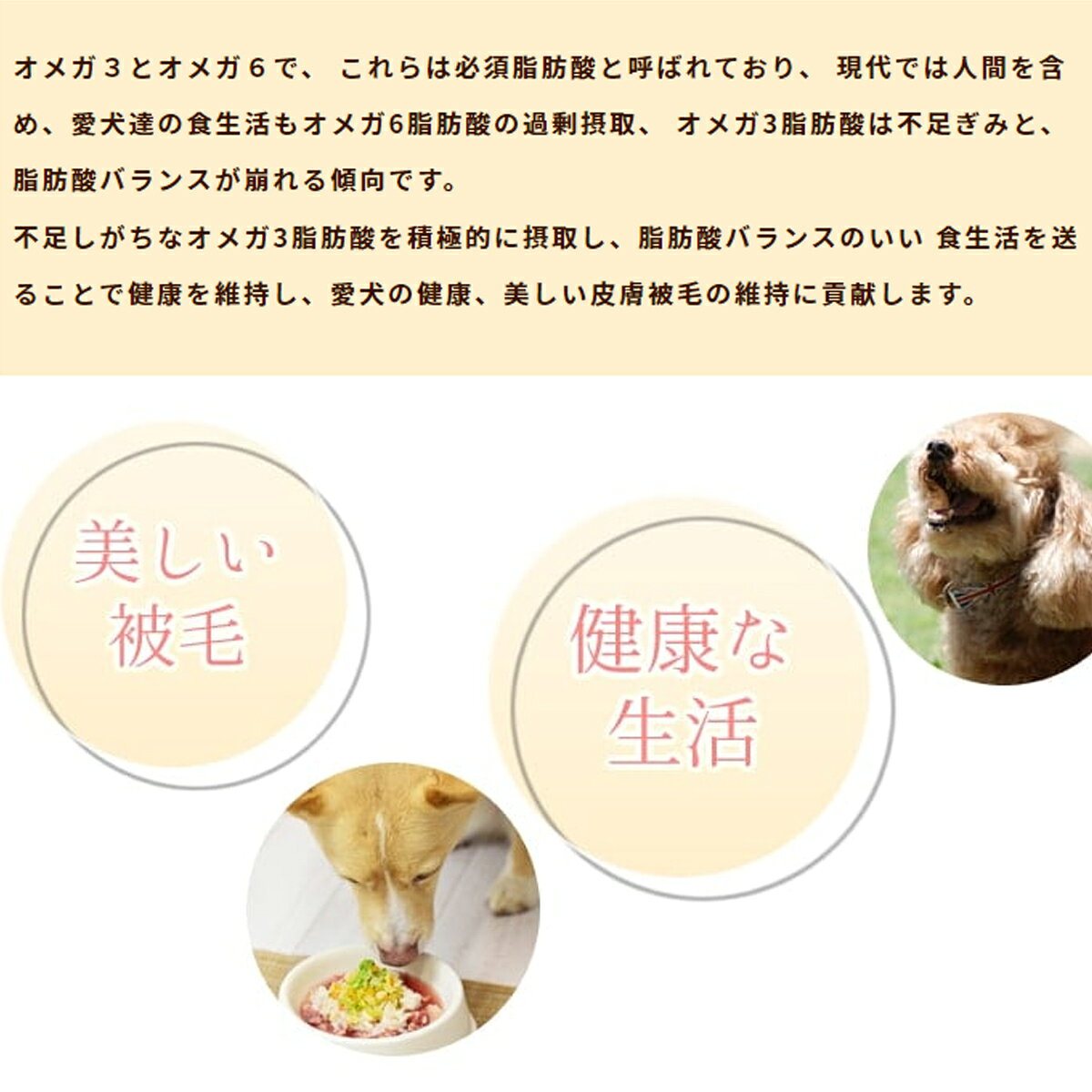 【8/10限定！2000円OFFクーポン＆抽選で最大1万ポイントバック】帝塚山ハウンドカム 犬猫用 マグロの健康オメガ3オイル 100ml koji-10036160 コジコジ サンプル画像3