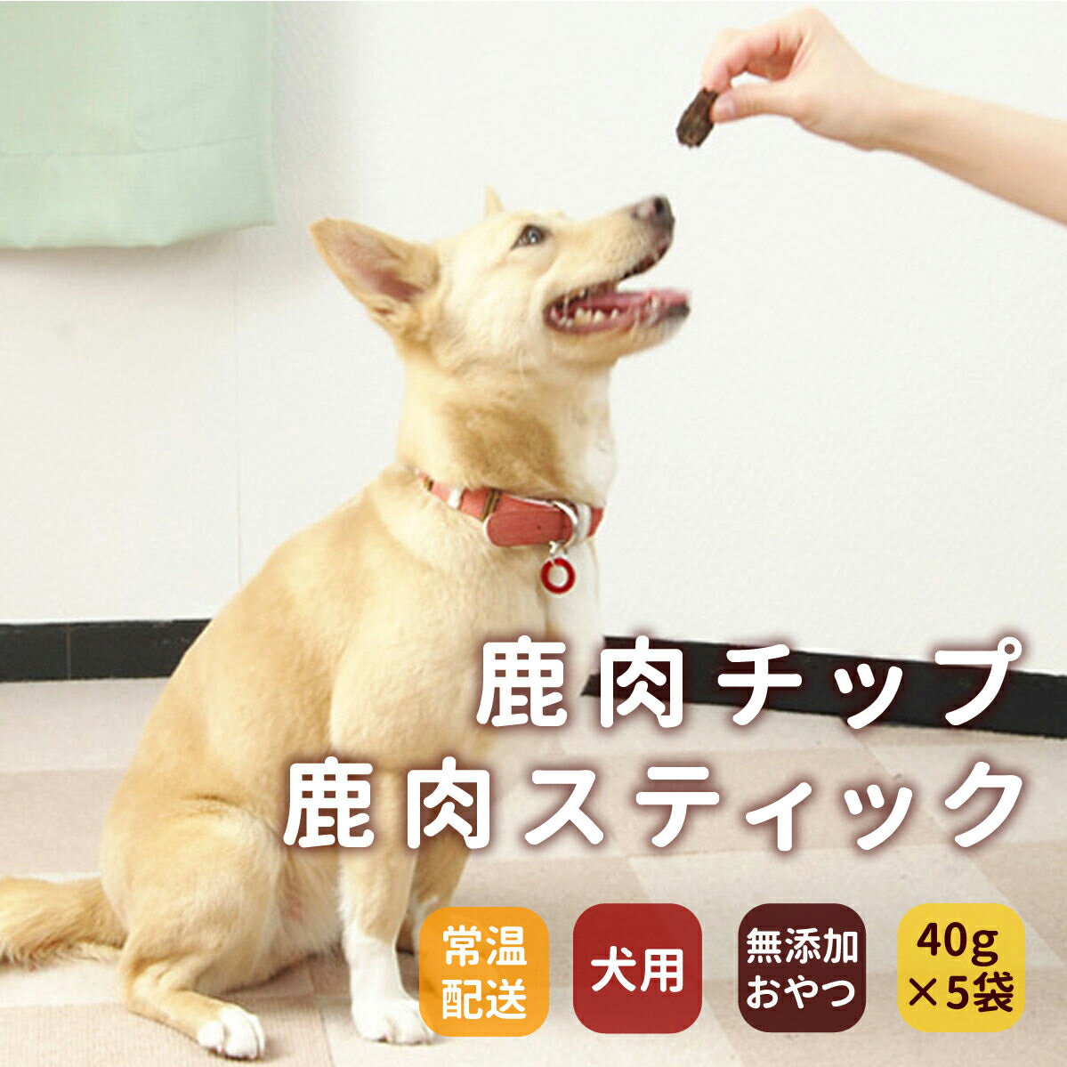 Rakuten - 【店内ポイント最大42倍！本日限定！】GLORY DOG＆EARTH 犬猫用おやつ 鹿肉スティック 無添加ジャーキー 40g