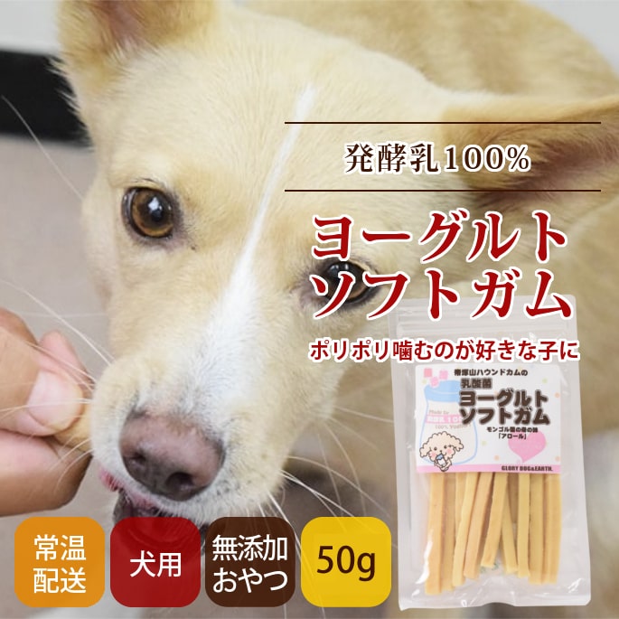 楽天コジコジ【店内ポイント最大38倍！本日限定！】帝塚山ハウンドカム 無添加犬おやつ 乳酸菌ヨーグルトソフトガム モンゴル産ヨーグルトスティック 50g