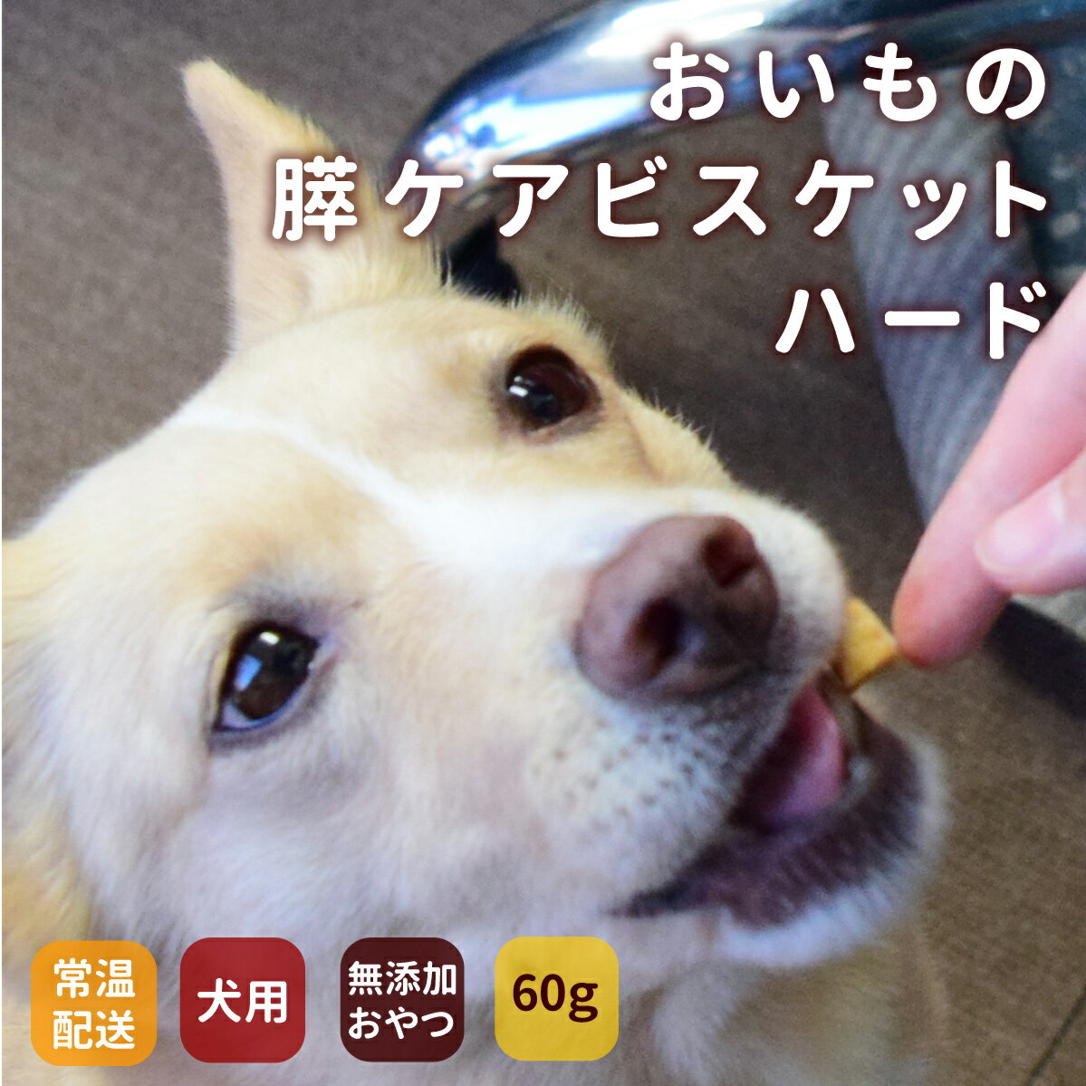 帝塚山ハウンドカム 犬 おやつ おいもの膵ケアビスケット ハード