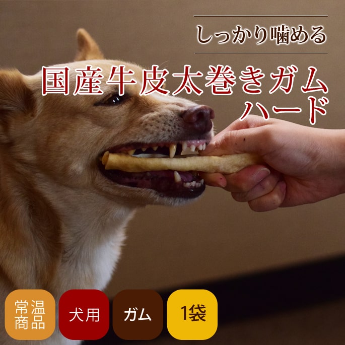 【400円OFFクーポン！＆店内ポイント最大42倍！2月1日！】帝塚山ハウンドカム 国産牛皮太巻きガムハード 3本