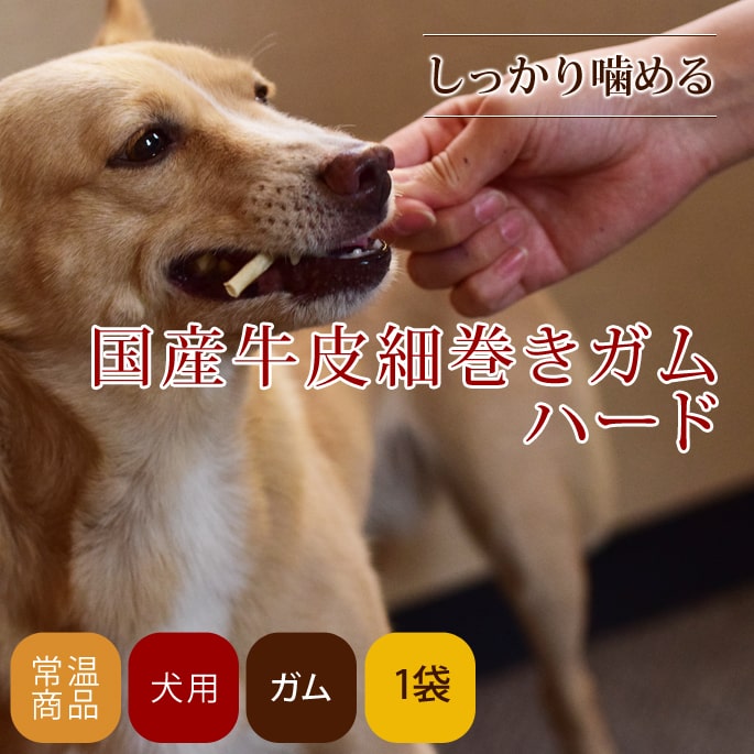 【400円OFFクーポン！＆店内ポイント最大42倍！2月1日！】帝塚山ハウンドカム 国産牛皮細巻きガムハード 10本