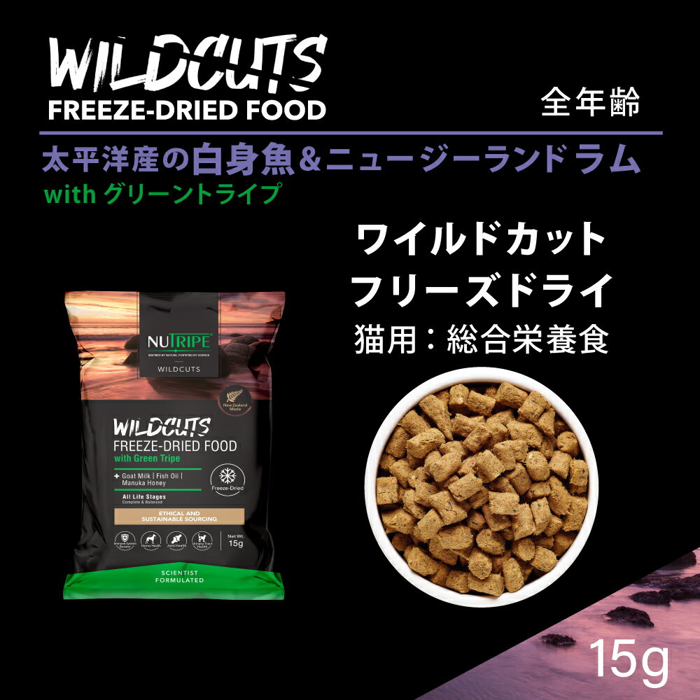 【最大2000円OFFクーポン!&店内ポイント...の紹介画像2