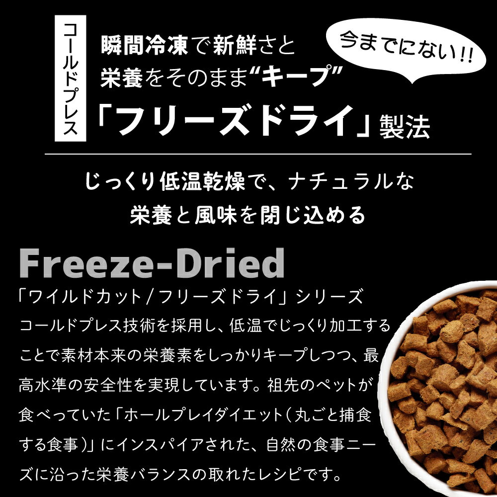 【最大2000円OFFクーポン!&店内ポイント...の紹介画像3