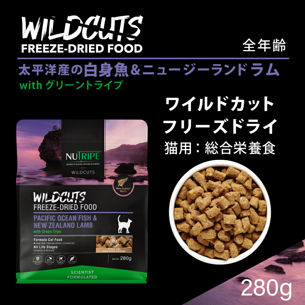 【400円OFFクーポン!&店内ポイント最大4...の紹介画像2