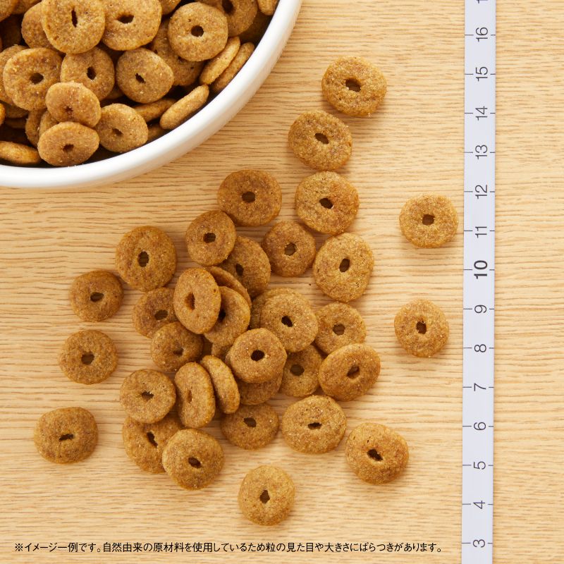 【店内ポイント最大40倍！本日限定！】ニュートロ ナチュラルチョイス ドッグフード 中型犬〜大型犬 エイジングケア チキン＆玄米 4kg 無添加 シニア 犬用品 koji-10011970 コジコジ サンプル画像2