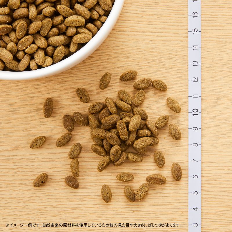 【10/1限定！先着最大1000円OFFクーポン＆抽選で最大1万ポイントバック】ニュートロ Nutro ナチュラルチョイス Natural Choice キャットフード 室内で暮らすシニア猫用 チキン 400g 無添加 天然 ナチュラルフード koji-10052165 コジコジ サンプル画像2
