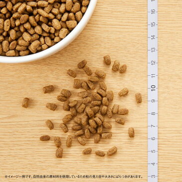 【15日0時〜!店内ポイント最大37.5倍!15日23時59分まで】ニュートロ ナチュラルチョイス キャットフード 室内猫用 キトン チキン 2kg
