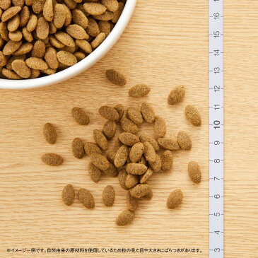【15日0時〜!店内ポイント最大37.5倍!15日23時59分まで】ニュートロ ナチュラルチョイス キャットフード 毛玉トータルケア アダルト チキン 2kg 無添加 猫 ペットグッズ ペット用品