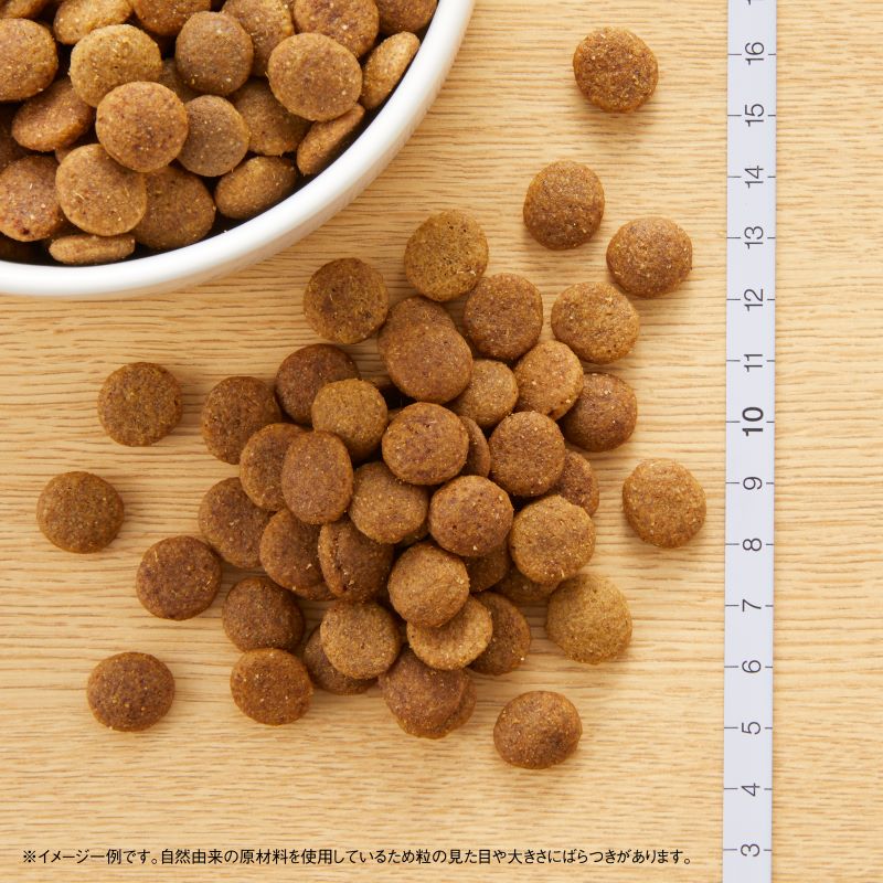 サンプル画像2