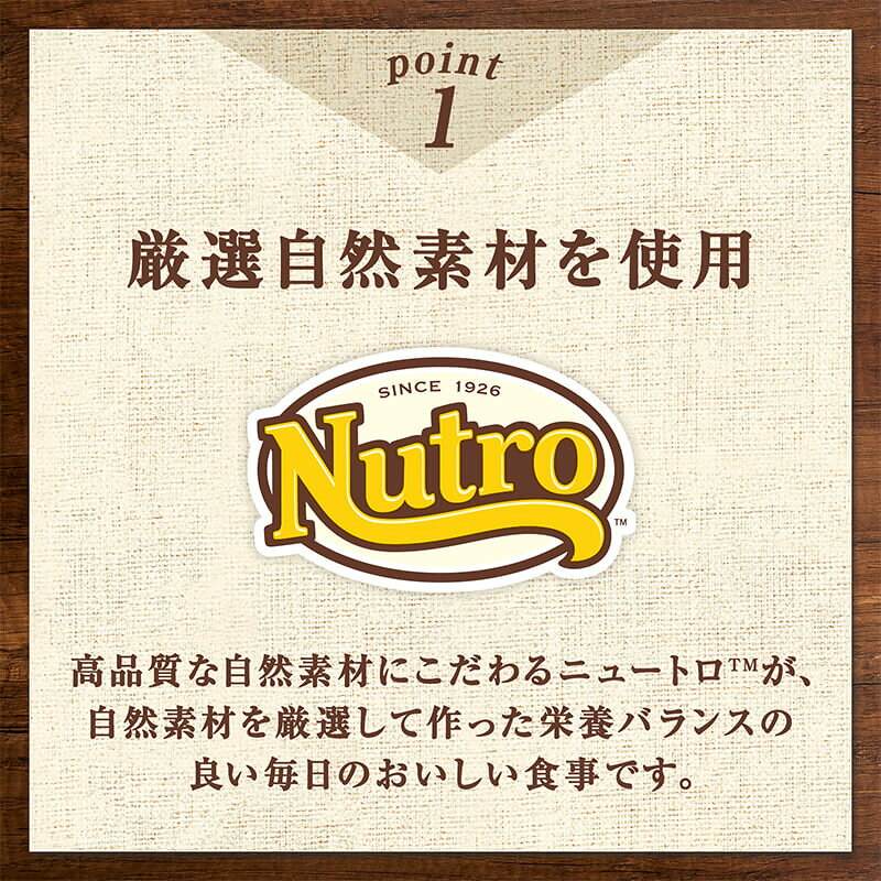 サンプル画像3