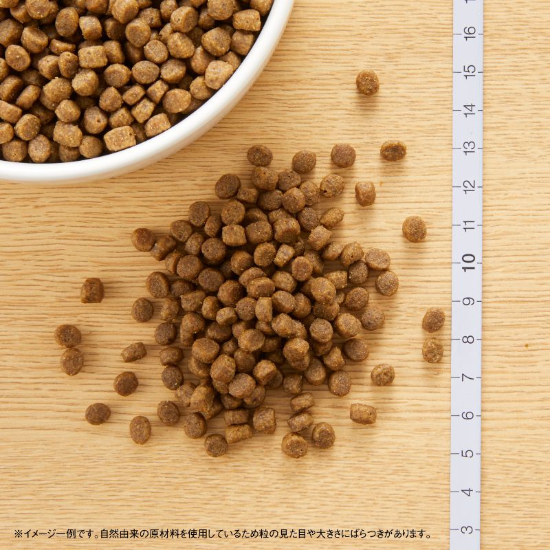 【店内ポイント最大39倍!本日限定!】ニュート...の紹介画像2