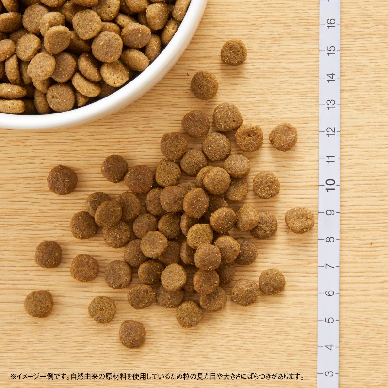【400円OFFクーポン!&店内ポイント最大4...の紹介画像2