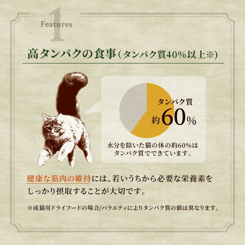 【400円OFFクーポン!&店内ポイント最大4...の紹介画像3