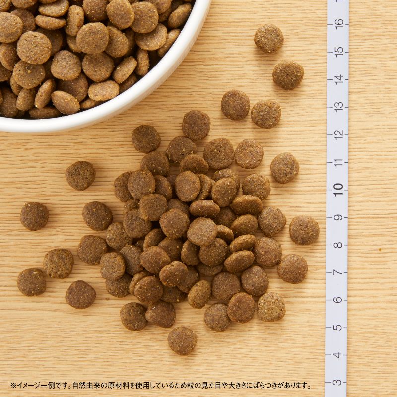 【400円OFFクーポン!&店内ポイント最大4...の紹介画像2