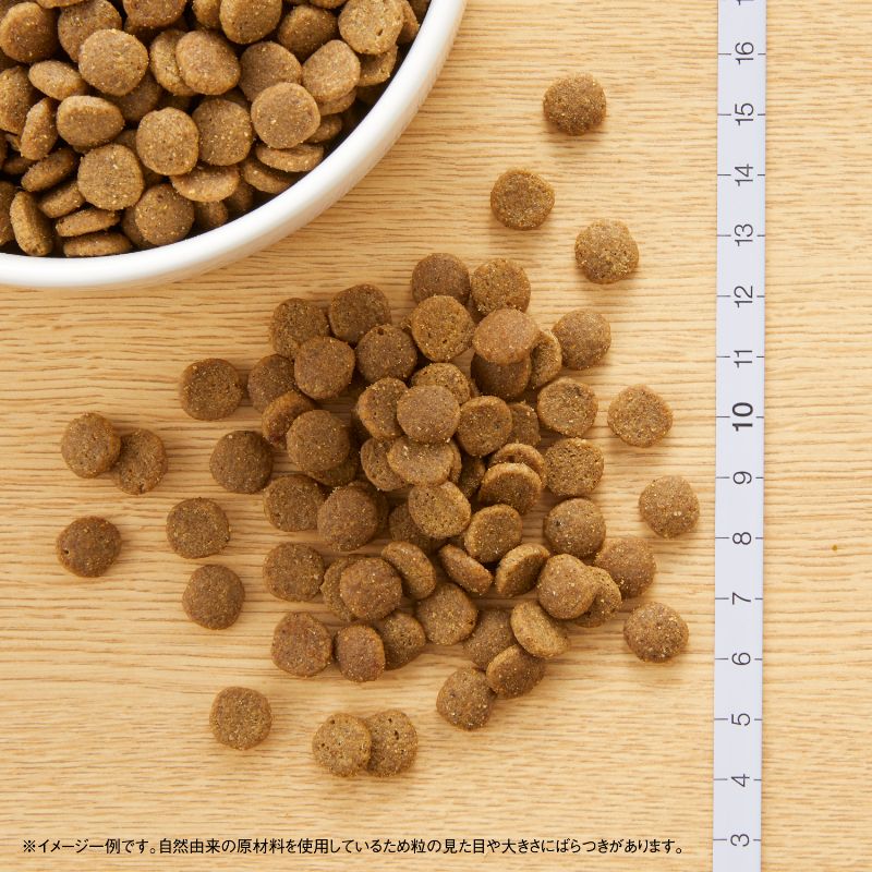 【店内ポイント最大40倍!5月5日!】ニュート...の紹介画像2