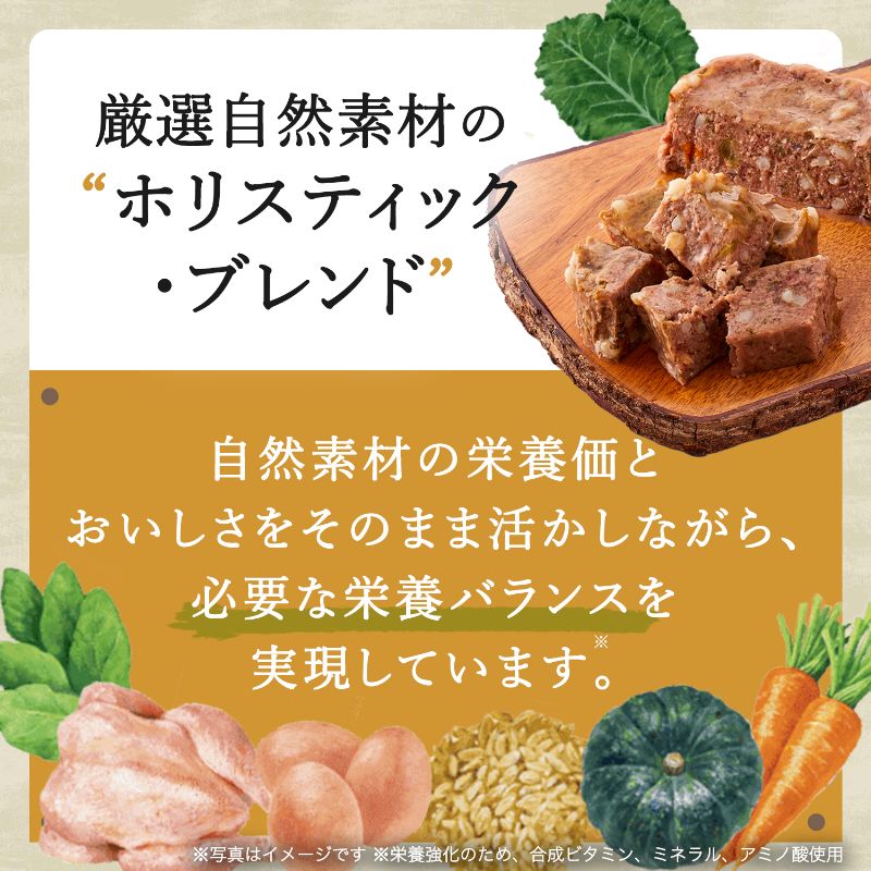サンプル画像2