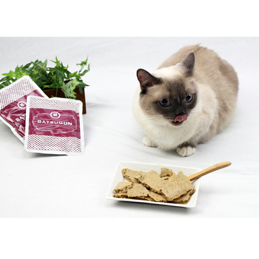 バツグンドッグフードBATSUGU...