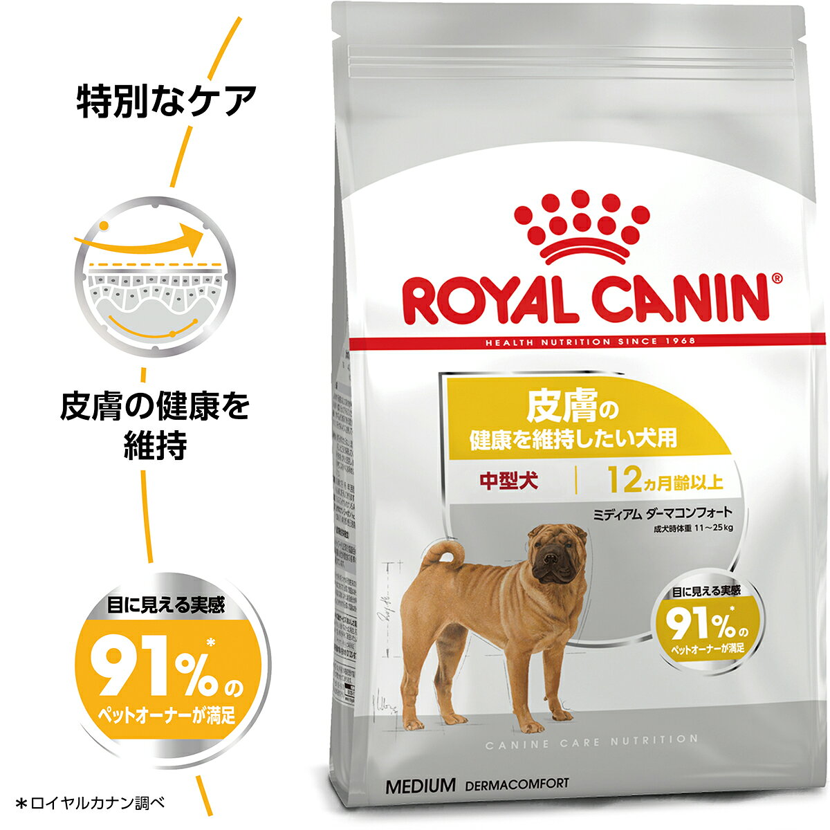 サンプル画像2