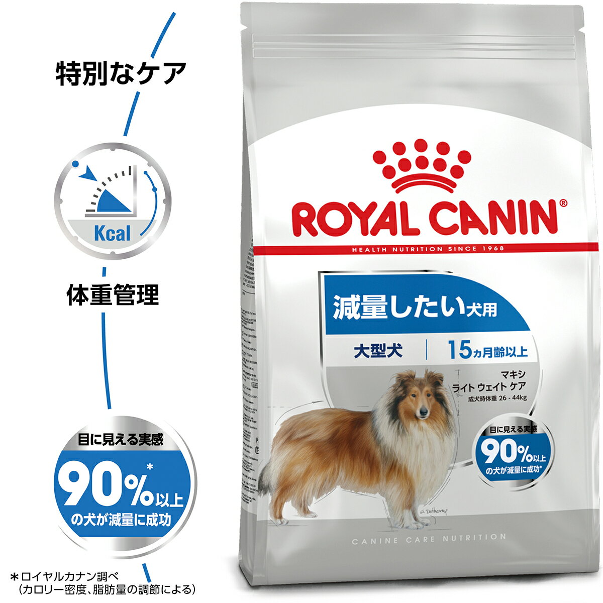 【店内ポイント最大42倍！本日限定！】ロイヤルカナン 犬 ドッグフード ケーナイン...