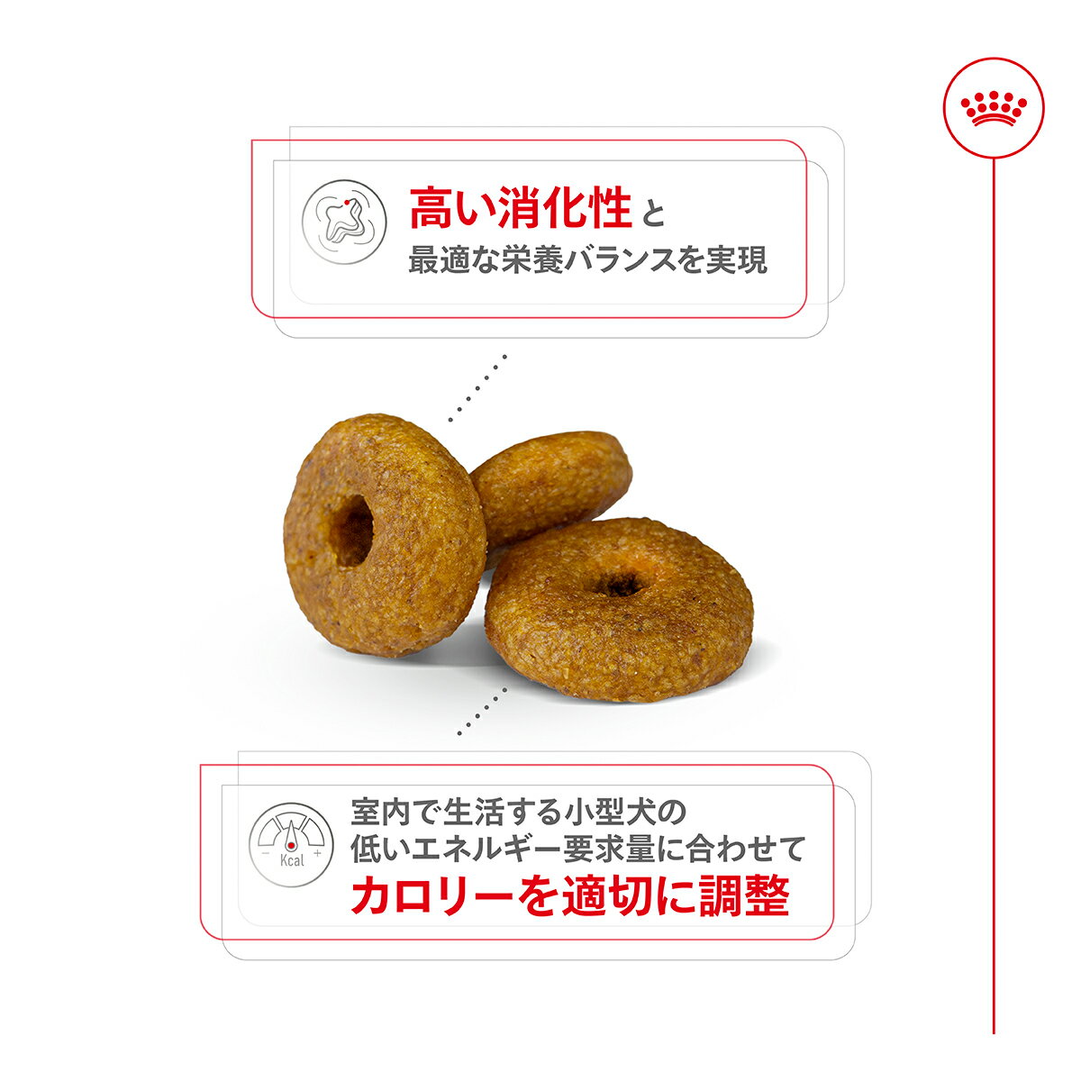 【1等最大10万ポイント当たる!20日から!】...の紹介画像3
